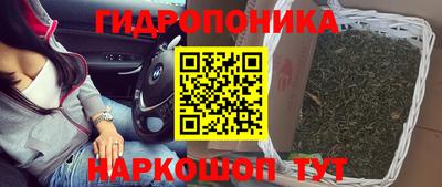 прущие крисы Можга
