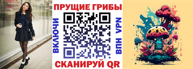 Псилоцибиновые грибы мицелий  Тутаев 