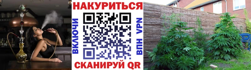 купить наркоту  Тутаев  Шишки марихуана Amnesia 